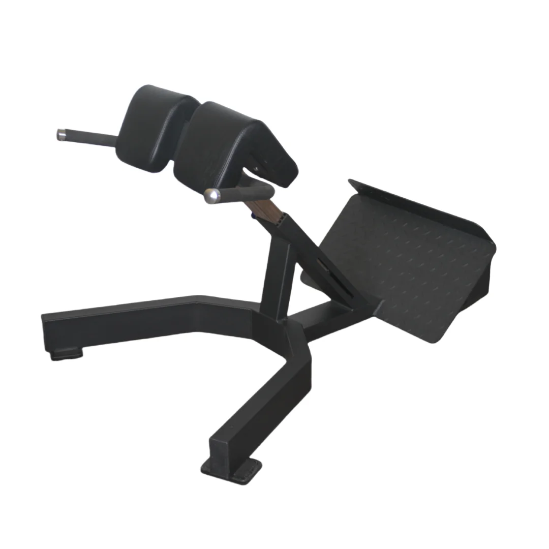 Home Gym Leg Extension Machine - Factory Price Roman Chair Back Extension