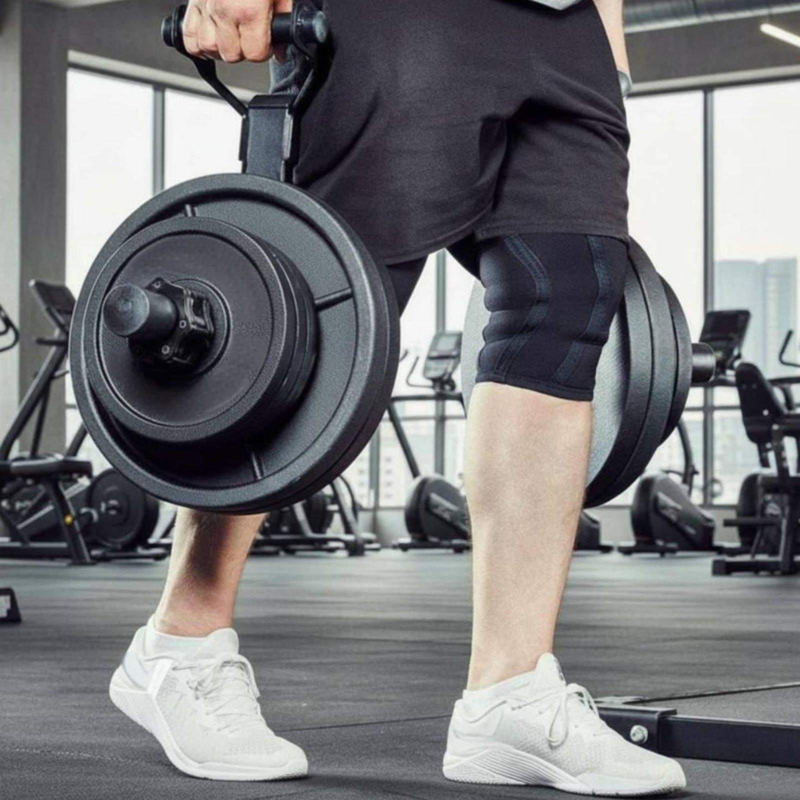 Multi-size Barbell Plate Holde - Home Gym Usa ulasan dan harga