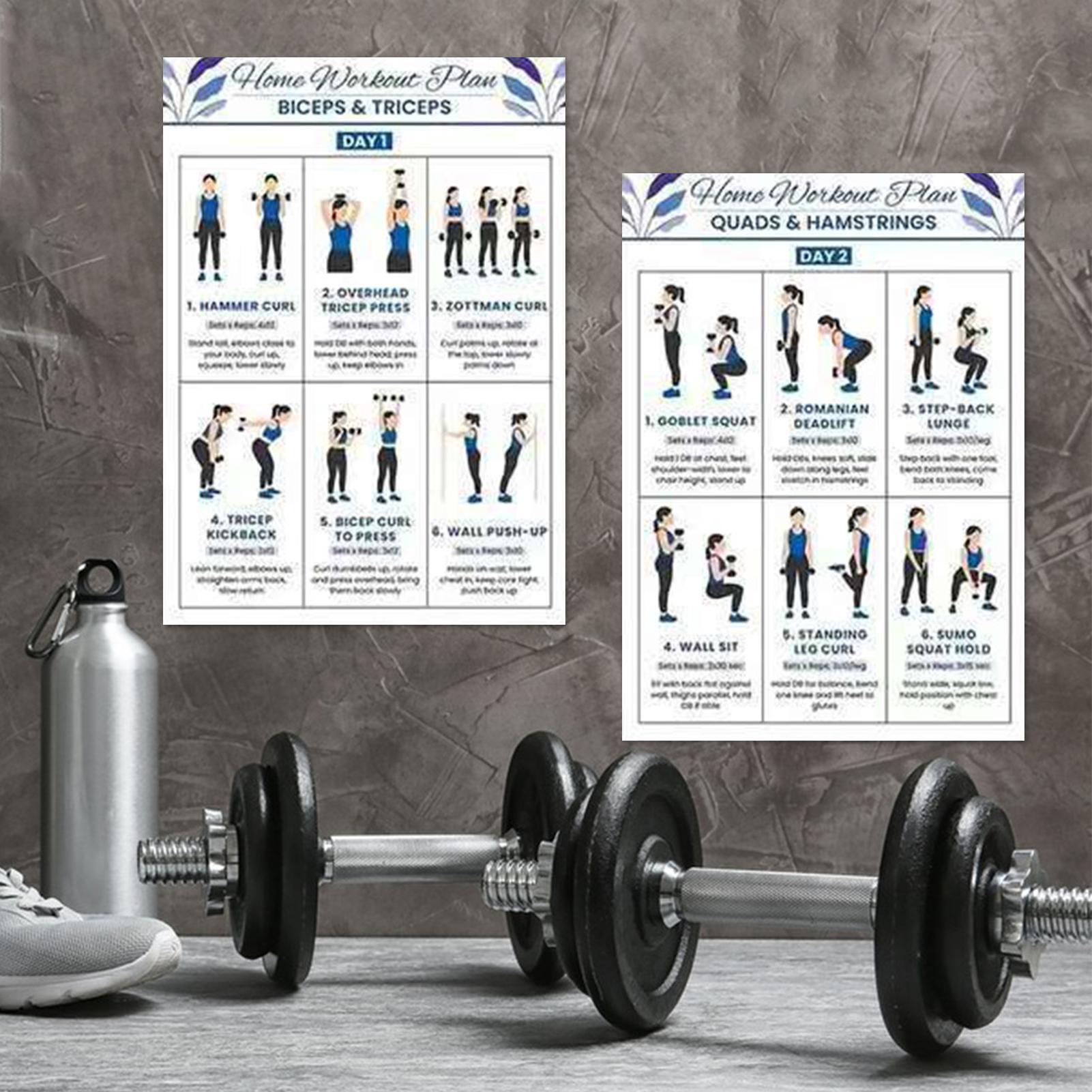 Workout Chart Full Body Comple - Home Gym Routine ulasan dan harga