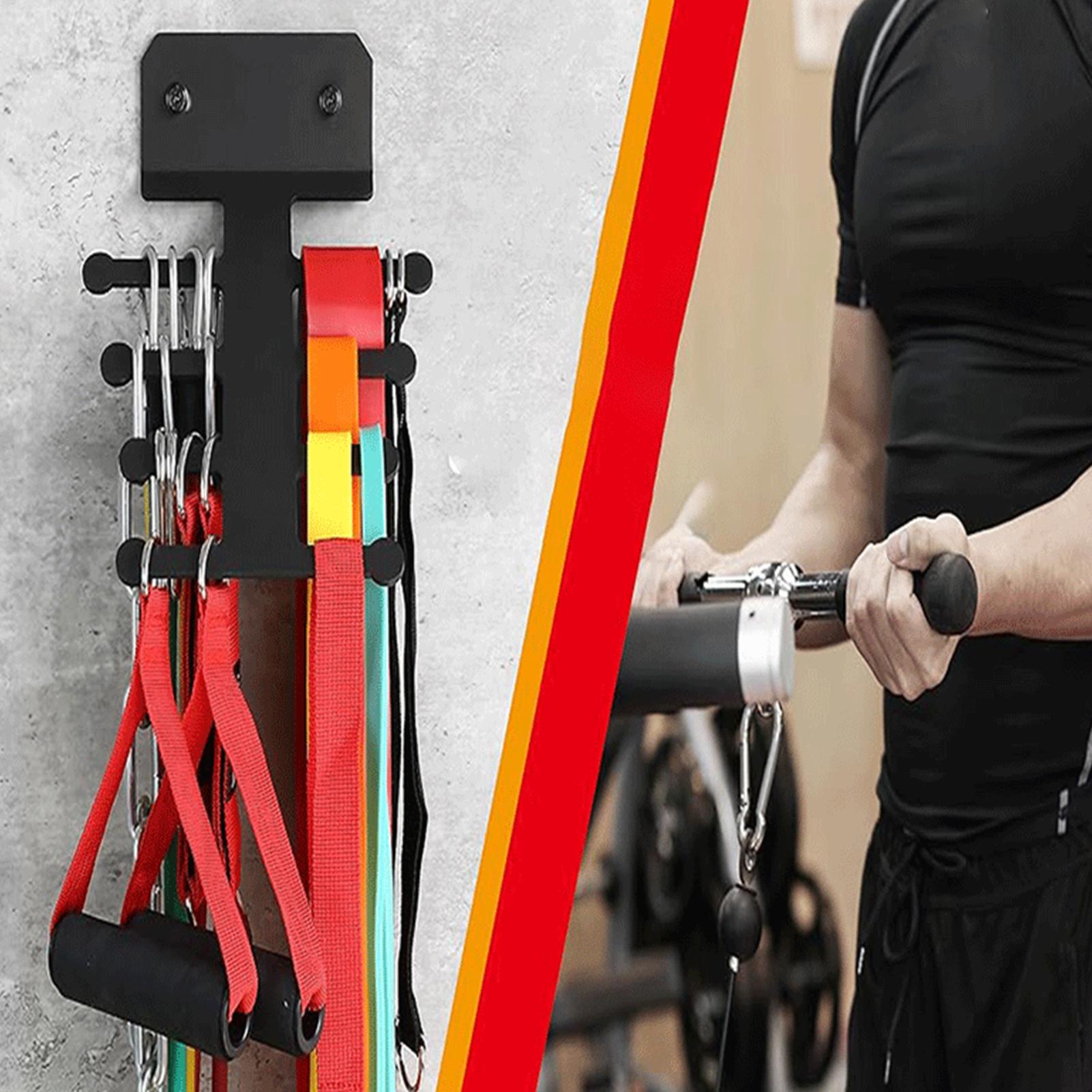 Gym Wall Storage Metal Heavy D - Home Gym Routine ulasan dan harga