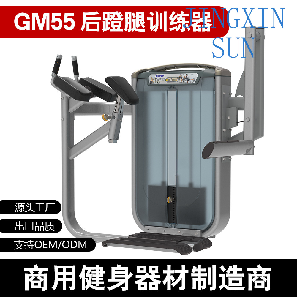 Commercial Standing Back Push  - Home Gym Leg Extension Machine ulasan dan harga