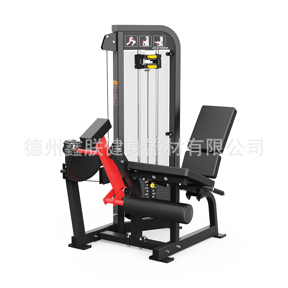 Gym Hammer Strength Equipment  - Home Gym Leg Extension Machine ulasan dan harga