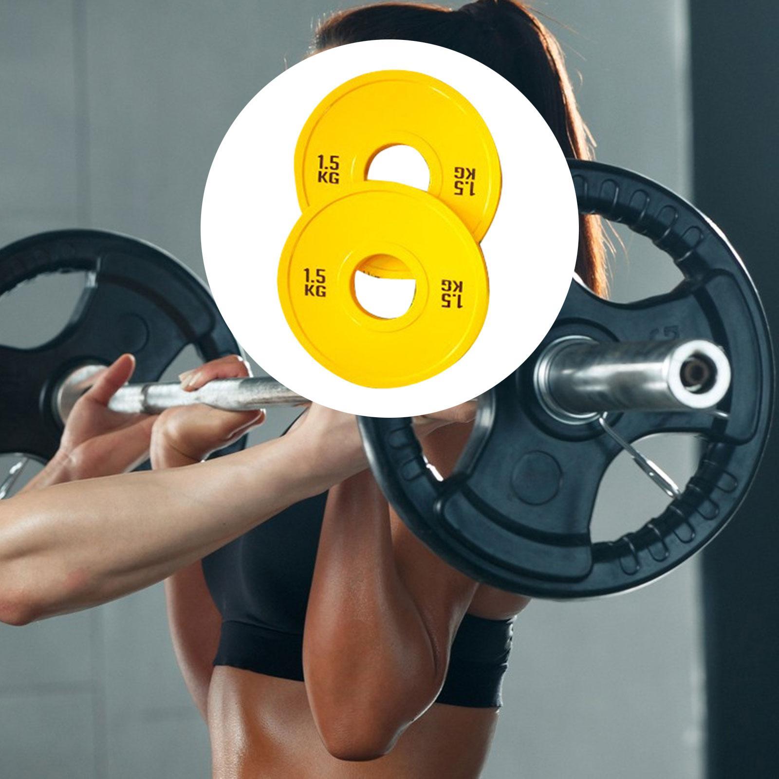 Micro Weight Plates for Barbel - Home Gym Routine ulasan dan harga