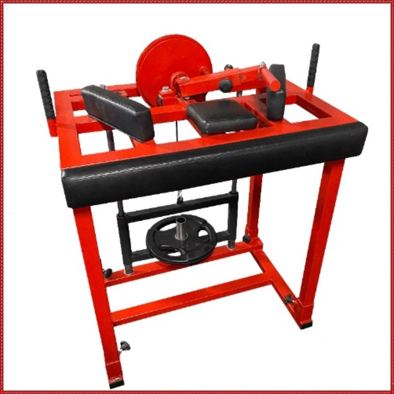 Wrestling Arm Strength Trainin - Home Gym Luxury ulasan dan harga