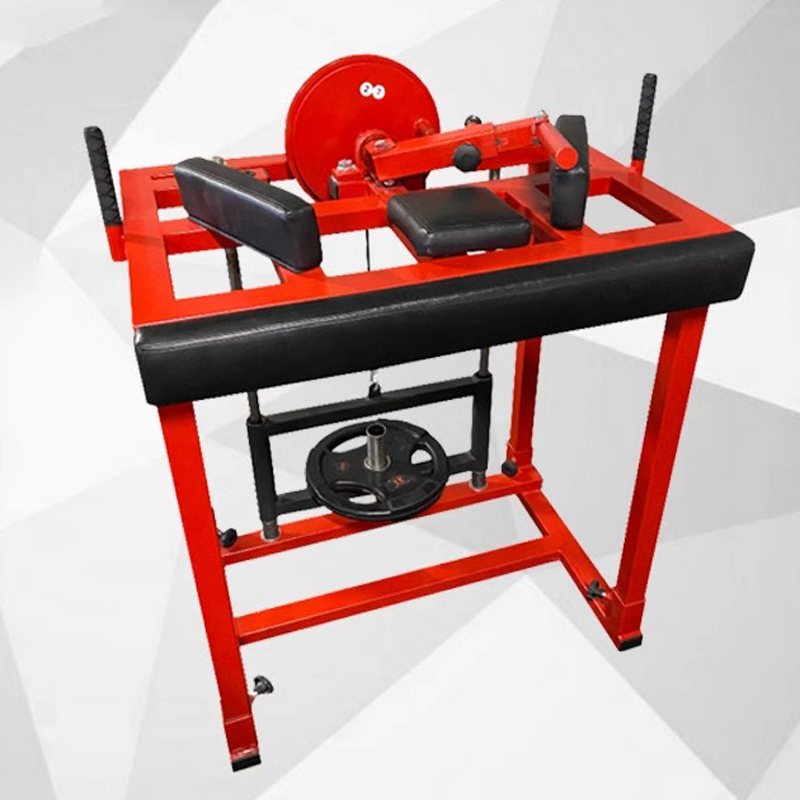 Wrestling Arm Strength Trainin - Home Gym Luxury ulasan dan harga